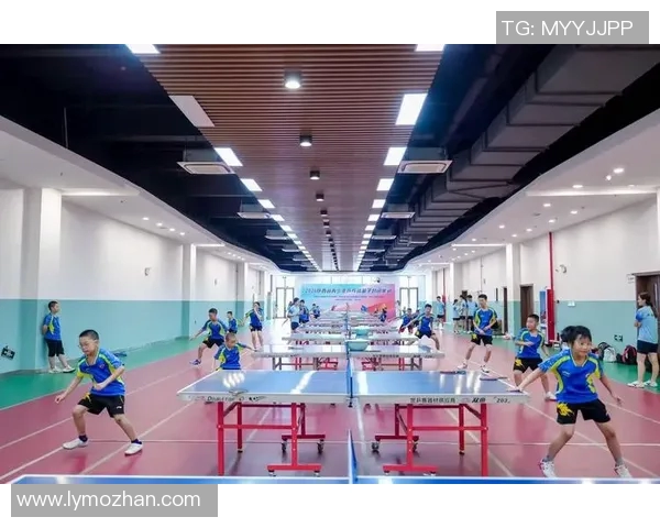 乒乓球深度探索西安乒乓球队的技术控制与战术布局解析