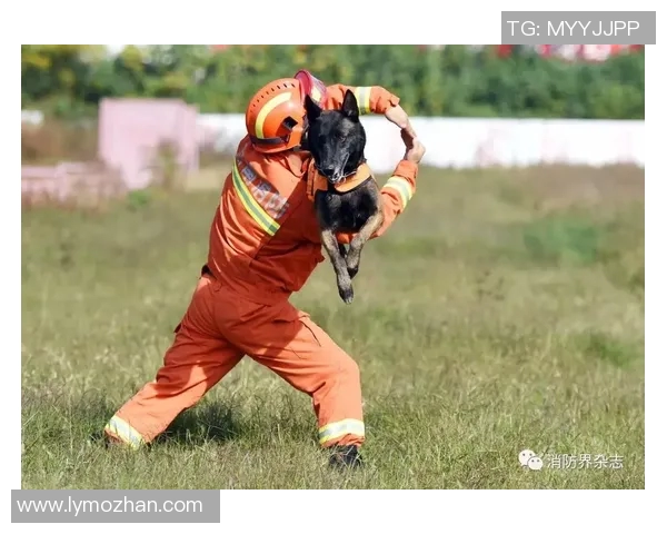 养狗的足球明星们如何在绿茵场上与爱犬共度快乐时光